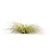 High-Quality Carex Comans Grass Model 3D model small image 2