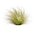 High-Quality Carex Comans Grass Model 3D model small image 3