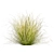 High-Quality Carex Comans Grass Model 3D model small image 5