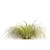 High-Quality Carex Comans Grass Model 3D model small image 6