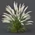 Variety of High-Quality Grass Models 3D model small image 2