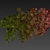 Creeping Ivy Collection Plant Vol562 3D model small image 7