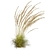 Quality Calamagrostis Karl Foerster Plant 3D model small image 6