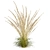 Quality Calamagrostis Karl Foerster Plant 3D model small image 1