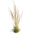 Quality Calamagrostis Karl Foerster Plant 3D model small image 2