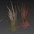 Quality Calamagrostis Karl Foerster Plant 3D model small image 4