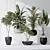 10 Indoor Plant Set Diversity 3D model small image 2