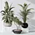 10 Indoor Plant Set Diversity 3D model small image 3