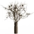 Rustic Charm Dry Branch Bouquet 3D model small image 1