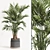 Modern Indoor Plant Set 061 3D model small image 1