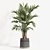 Modern Indoor Plant Set 061 3D model small image 2