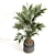 Modern Indoor Plant Set 061 3D model small image 3