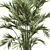 Modern Indoor Plant Set 061 3D model small image 4