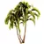 Exotic Adonidia Palm Tree Model 3D model small image 2