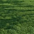 Scatter Grass Kit for Vray 3D model small image 2