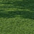 Scatter Grass Kit for Vray 3D model small image 3