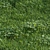 Scatter Grass Kit for Vray 3D model small image 4