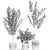 White Blossom Collection Set 3D model small image 5