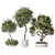 Modern Indoor Plant Variety Set 3D model small image 1