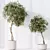 Modern Indoor Plant Variety Set 3D model small image 4