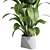 Title: Rubber Ficus in Concrete Vase 3D model small image 2