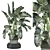 Indoor Greenery Collection - Set 1222 3D model small image 1