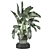 Indoor Greenery Collection - Set 1222 3D model small image 4