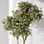 Impressive Indoor Plant Set Bundle 3D model small image 5