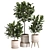 Modern Indoor Plant Set 069 3D model small image 1