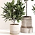 Modern Indoor Plant Set 069 3D model small image 3