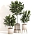 Modern Indoor Plant Set 069 3D model small image 5