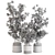 Lush Indoor Plant Set Display 3D model small image 4