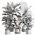  Indoor Plant Set 065: V-Ray & Corona Render, High Quality 3D model small image 5