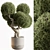 Topiary Ball Indoor Plant 687 3D model small image 1