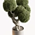 Topiary Ball Indoor Plant 687 3D model small image 2