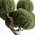 Topiary Ball Indoor Plant 687 3D model small image 3