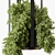 Green Oasis - Hanging Plants 3D model small image 2