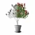 Botanical Oleander Plants Collection 3D model small image 5