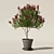 Botanical Oleander Plants Collection 3D model small image 7