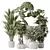 5 Model Indoor Plant Set 3D model small image 1