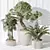 5 Model Indoor Plant Set 3D model small image 4