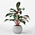 Infinity Aglaonema Plant 3D Model 3D model small image 5