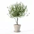 Lush Oleander Plant Collection 3D model small image 2