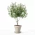 Lush Oleander Plant Collection 3D model small image 5