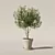 Lush Oleander Plant Collection 3D model small image 7