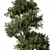 Elegant Tree Sculpture Decor 3D model small image 2