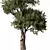 Elegant Tree Sculpture Decor 3D model small image 3