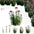 Eutrochium purpureum 3D Model Set 3D model small image 1