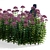 Eutrochium purpureum 3D Model Set 3D model small image 5