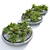 Succulent Plants in Pot 3D model small image 3